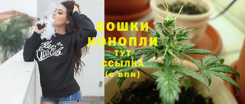 закладки  Гаджиево  hydra как зайти  Конопля White Widow 